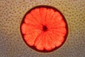 Slice of red grapefruit Royalty Free Stock Photo