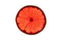 Slice of red grapefruit Royalty Free Stock Photo