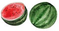 Slice of red juicy watermelon. Watercolor tropical fruit illustration Royalty Free Stock Photo