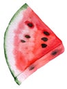Slice of red juicy watermelon. Watercolor tropical fruit illustration Royalty Free Stock Photo
