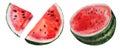 Slice of red juicy watermelon. Watercolor tropical fruit illustration Royalty Free Stock Photo