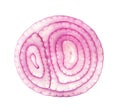 Slice with red onion isolated on the white background Royalty Free Stock Photo