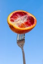 A slice of red orange, impaled on a metal fork on a blue background,