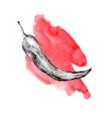 A slice of red paprika. Illustrated in graphics and watercolors.
