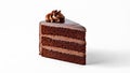 Delicious chocolate cake dessert slice Royalty Free Stock Photo