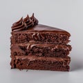 Decadent Chocolate Layer Cake Slice Royalty Free Stock Photo