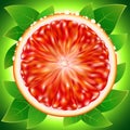 Slice ripe grapefruit with drops water