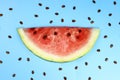 slice of ripe juicy watermelon and seeds on a blue background Royalty Free Stock Photo