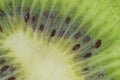 Slice of ripe kiwi fruit in water. Close-up of kiwi fruit in liquid with bubbles. Slice of ripe kiwi in sparkling water Royalty Free Stock Photo