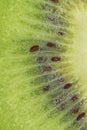 Slice of ripe kiwi fruit in water on white background. Close-up of kiwi fruit in liquid with bubbles. Slice of ripe kiwi Royalty Free Stock Photo