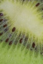 Slice of ripe kiwi fruit in water on white background. Close-up of kiwi fruit in liquid with bubbles. Slice of ripe kiwi Royalty Free Stock Photo