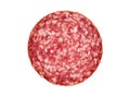 Slice of salami sausage