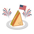 slice sandwich flag american food celebration