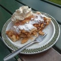 Fork beside strudel thick with apples and raisins. Austria