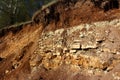 A slice of sedimentary rocks of Carboniferous clay and limestone, covered on top with a layer of Quaternary sediments