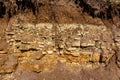 A slice of sedimentary rocks of Carboniferous clay and limestone, covered on top with a layer of Quaternary sediments