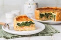 Slice of Spinach, cheese, onion and salmon fish tart