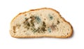 Slice of spoiled bread isolated on a white background. Wheat bread piece with various kinds of mold cutout. Moldy fungus on rotten Royalty Free Stock Photo