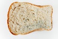 Slice of spoiled wheat bread with mold isolated on a white background Royalty Free Stock Photo