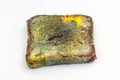 Slice of stale rye bread with mold. Spoiled bread with colored mold. White background. Top view. Royalty Free Stock Photo