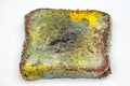 Slice of stale rye bread with mold. Spoiled bread with colored mold. White background. Top view. Royalty Free Stock Photo