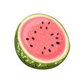 Slice striped and red watermelon with black seeds, sketch style, vector illustration isolated on white background. Realistic hand Royalty Free Stock Photo