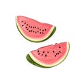 Slice striped and red watermelon set with black seeds, sketch style, vector illustration isolated on white background Royalty Free Stock Photo