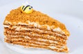 Slice of sweet tasty Honey Cake Medovik