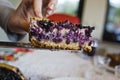 Slice of tart with blueberries Royalty Free Stock Photo