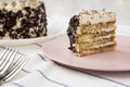 A slice of tiramisu cake on a pink plate, side view. Close-up