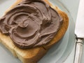 Slice of Toasted brioche with Chocolate Spread