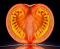 Slice of a tomato isolated in dark black bacnground with reflection