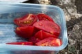 Slice tomato in plastic lunch box