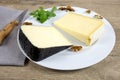 Slice of Tomme noire des Pyrenees and Cantal cheese