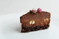 Slice of vegan chocolate nut cake on white plate close-up Royalty Free Stock Photo