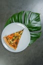 Slice of veggie pizza with monstera leaf under the serving plate. Piece of vegetable pizza with tomatoes, champignon mushrooms
