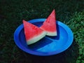 Slice of watermelon on blue bowl