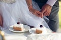 A slice of wedding cake in front of the bride and groom Royalty Free Stock Photo