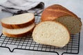 Slice wheat bread on wood background, healthy food concept