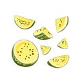 Slice and whole striped yellow watermelon set with black seeds, sketch style, vector illustration isolated on white background. Royalty Free Stock Photo