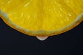 Slice of yellow lemon with juice drops on a black background, macro photography. Texture fresh citrus fruit, closeup Royalty Free Stock Photo