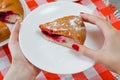 Slice of yummy piece of cherry cake with poedered sugar in woman Royalty Free Stock Photo