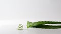Sliced aloe vera plant leaves on white neutral background, copy space