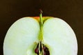 Sliced apple macro image on dark background. Close up of fresh ripe fruit with core and kernels Royalty Free Stock Photo