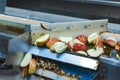 Sliced apples on a conveyor belt in food processing facility