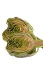 Sliced Artichoke Isolated Royalty Free Stock Photo