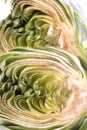 Sliced Artichoke Isolated Royalty Free Stock Photo