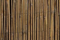 Sliced bamboo slats woven together by wire. Royalty Free Stock Photo