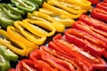 sliced bell peppers with grill marks