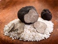 Sliced black truffle Royalty Free Stock Photo